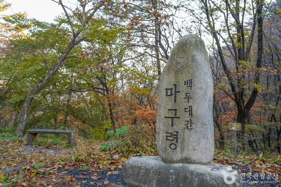 마구령·고치령