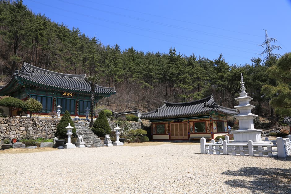 금정사