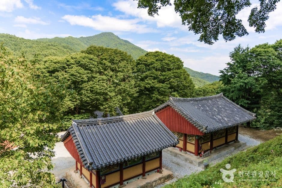 비로사(영주)
